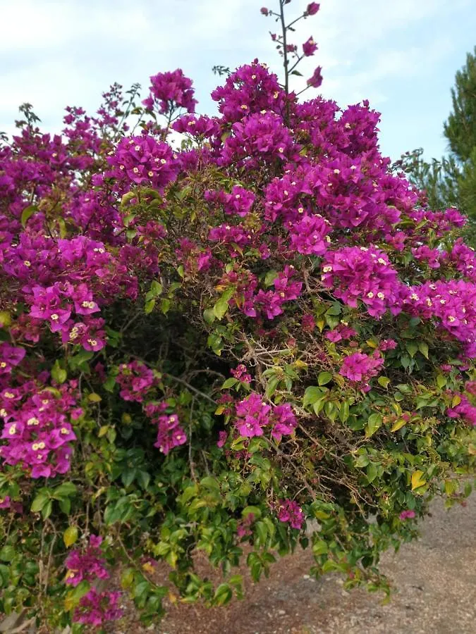 Finca San Mateo Vera 0*,